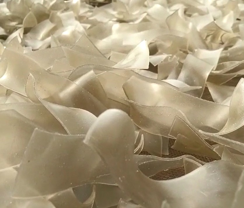 粉皮.JPG